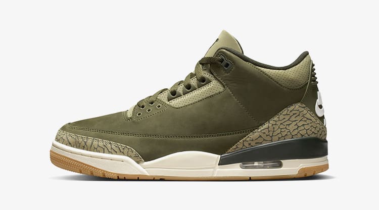 Air Jordan 3 Retro OG Rt Sneaker