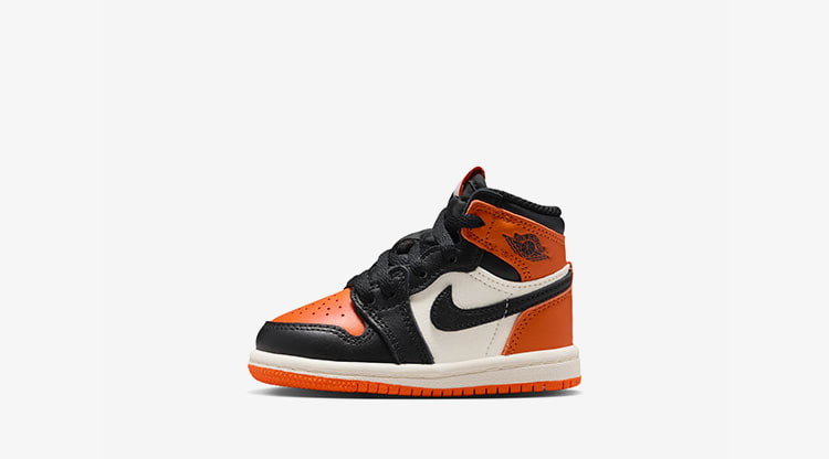 Air Jordan 1 Retro High TD Sneaker